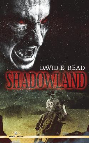 Книга Shadowland David E Read