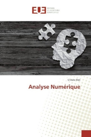 Kniha Analyse Numérique Christo Iliev