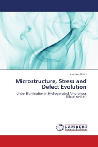 Knjiga Microstructure, Stress and Defect Evolution Evariste Minani