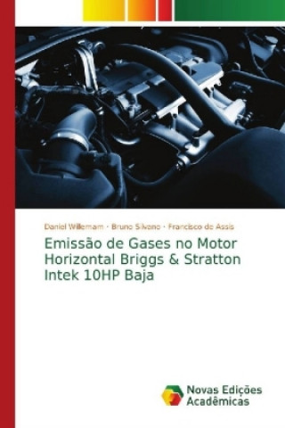 Carte Emissao de Gases no Motor Horizontal Briggs & Stratton Intek 10HP Baja Daniel Willemam