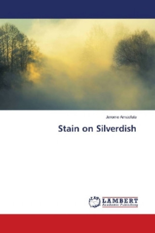 Knjiga Stain on Silverdish Jerome Amaefula
