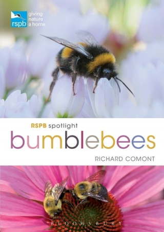 Carte RSPB Spotlight Bumblebees Richard Comont