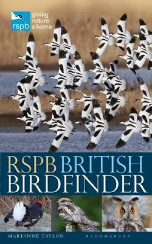 Carte RSPB British Birdfinder Marianne Taylor