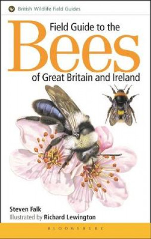 Könyv Field Guide to the Bees of Great Britain and Ireland Steven Falk