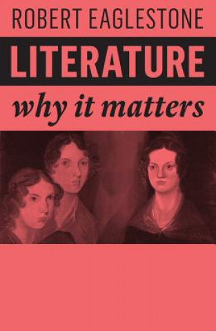 Knjiga Literature - Why It Matters Robert Eaglestone