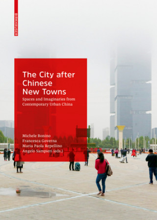 Kniha City after Chinese New Towns Michele Bonino