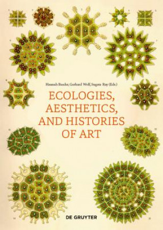 Kniha Ecologies, Aesthetics, and Histories of Art Hannah Baader