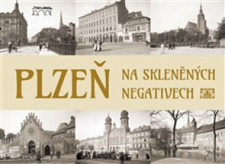 Könyv Plzeň na skleněných negativech Tomáš Bernhardt
