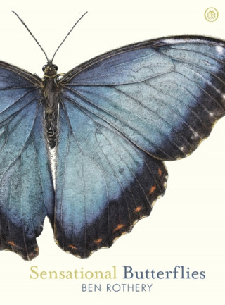 Kniha Sensational Butterflies Ben Rothery