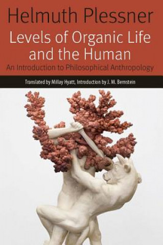 Könyv Levels of Organic Life and the Human J. M. Bernstein