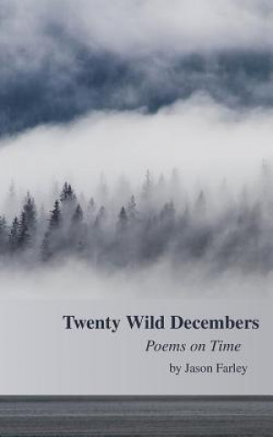 Kniha Twenty Wild Decembers: Poems on Time Jason Farley