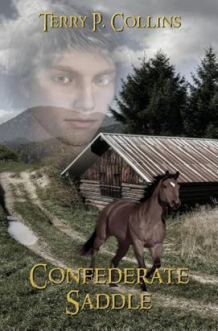 Könyv Confederate Saddle Terry P Collins