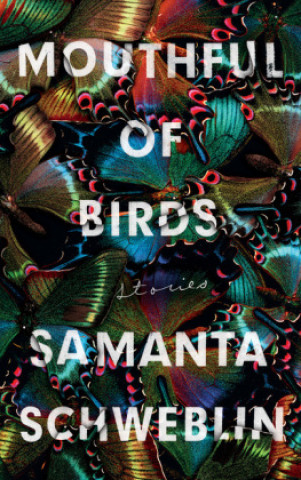 Kniha Mouthful of Birds Samanta Schweblin