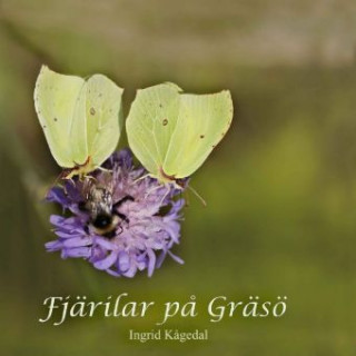 Kniha Fjärilar p? Gräsö Ingrid K?gedal