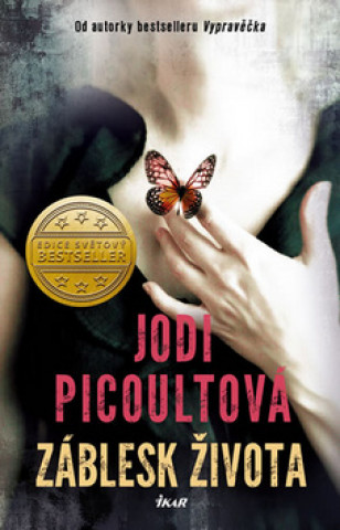 Kniha Záblesk života Jodi Picoultová