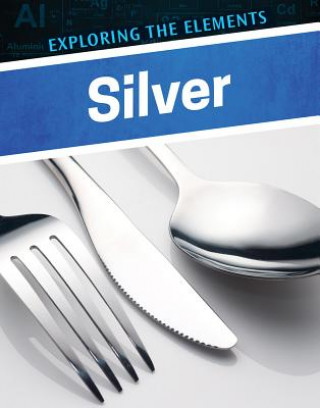 Knjiga Silver Henrietta Toth