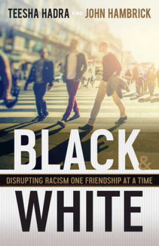 Könyv Black and White: Disrupting Racism One Friendship at a Time John Hambrick