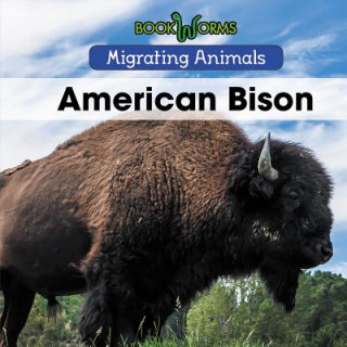 Knjiga American Bison Arthur Best