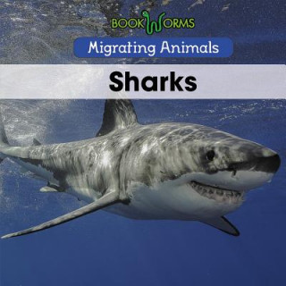 Book Sharks Arthur Best