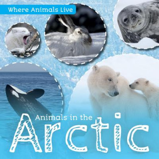 Knjiga Animals in the Arctic John Wood