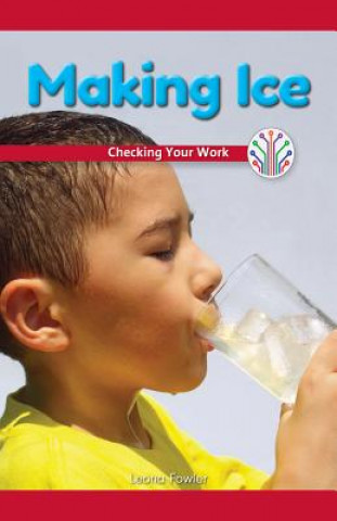 Knjiga Making Ice: Checking Your Work Leona Fowler
