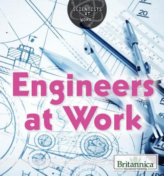 Buch Engineers at Work Monique Vescia