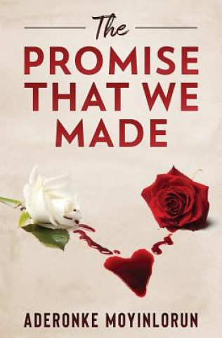 Kniha The Promise That We Made Aderonke Moyinlorun