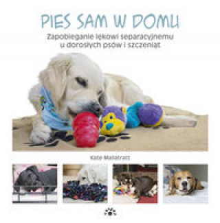 Книга Pies sam w domu Mallatratt Kate