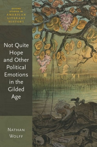 Könyv Not Quite Hope and Other Political Emotions in the Gilded Age Wolff