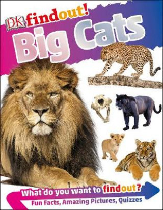 Carte DKfindout! Big Cats DK