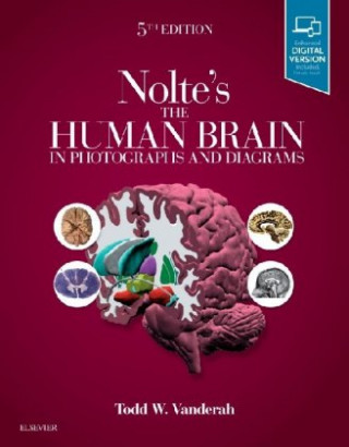 Książka Nolte's The Human Brain in Photographs and Diagrams Todd Vanderah