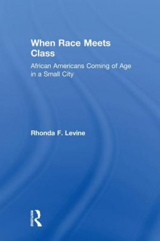 Kniha When Race Meets Class LEVINE