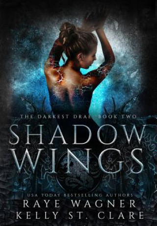 Knjiga Shadow Wings Raye Wagner