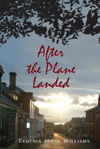 Книга After the Plane Landed Eugenia Jenny Williams