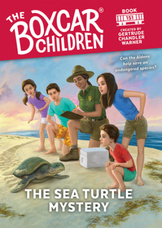 Książka Sea Turtle Mystery Gertrude Chandler Warner