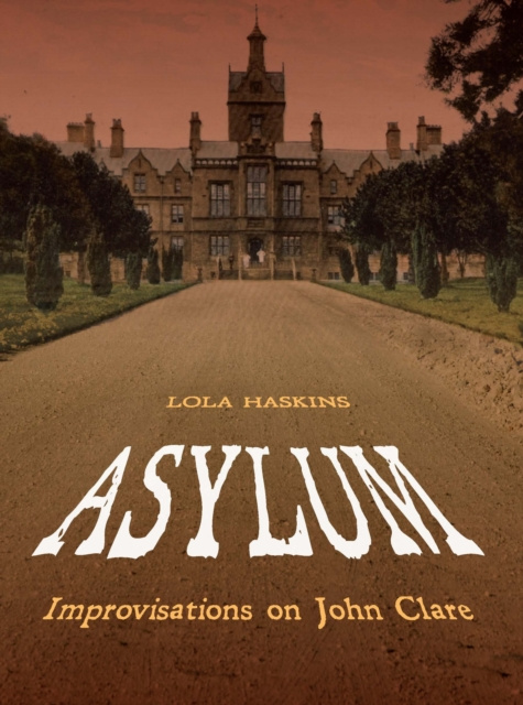 E-Book Asylum Lola Haskins
