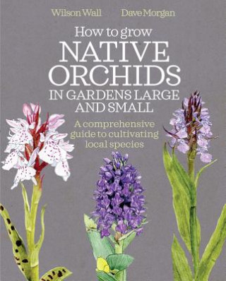Carte How to Grow Native Orchids in Gardens Large and Small DAVE MORGAN