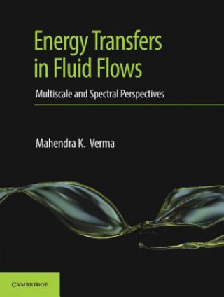 Kniha Energy Transfers in Fluid Flows Verma