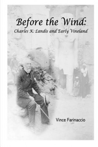 Buch Before the Wind Vince Farinaccio