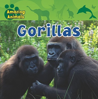 Knjiga Gorillas Stephan Brewer