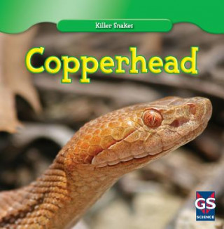 Knjiga Copperhead Victoria Braidich