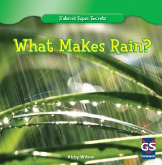 Libro What Makes Rain? Abby Wilson