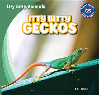 Knjiga Itty Bitty Geckos: T Baer
