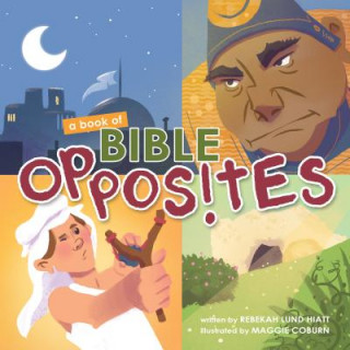 Boek A Bible Book of Opposites Rebekah Lund Hiatt