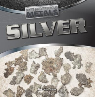 Buch Silver: Therese Shea