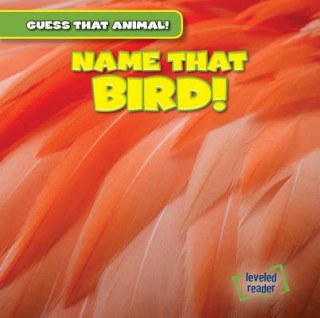 Knjiga Name That Bird! Demi Jackson
