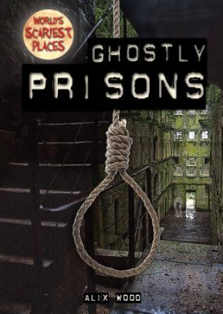 Knjiga Ghostly Prisons Alix Wood