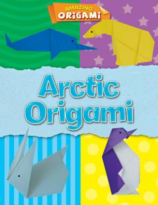 Knjiga Arctic Origami Joe Fullman