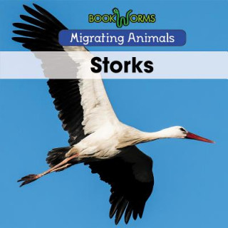 Knjiga Storks B J Best