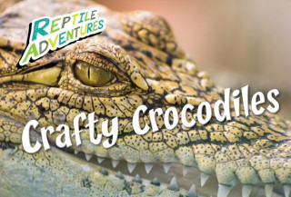 Knjiga Crafty Crocodiles Rebecca Johnson